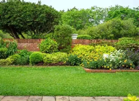 landscaping services Cecilton